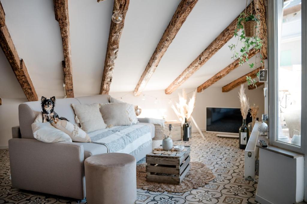 Casa del Cuore - Attico con terrazza - Appartement Met 1 Slaapkamer