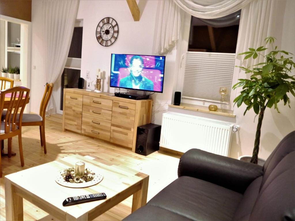 ein Wohnzimmer mit einem Sofa und einem TV in der Unterkunft Haus-Wolter in Goslar