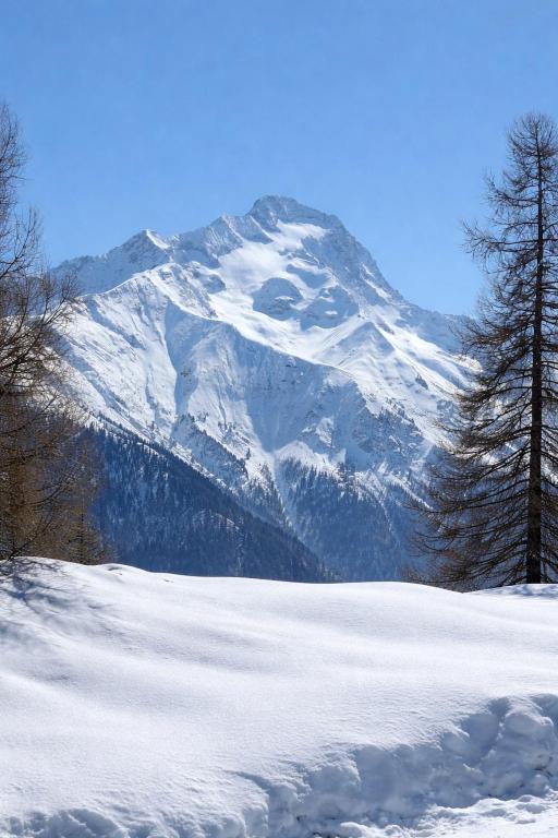 Le Chalet – photo 31
