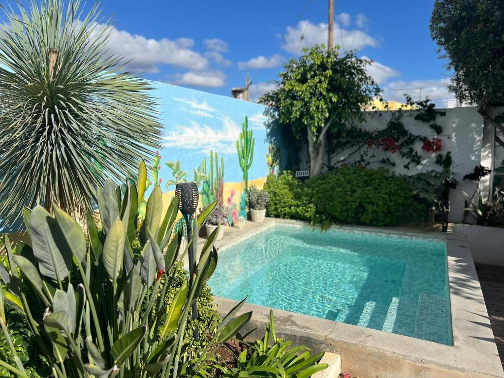 a swimming pool in a garden with plants and a mural at El Escondrijo Ibiza in San Antonio