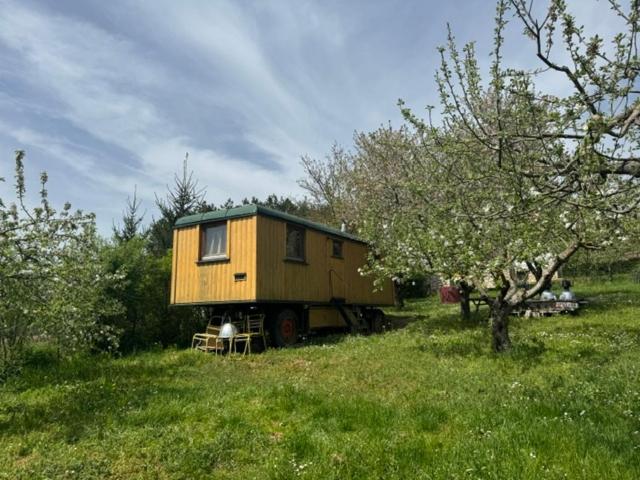 a tiny house on a truck in a field at Cirkusz Udvar in Kapolcs