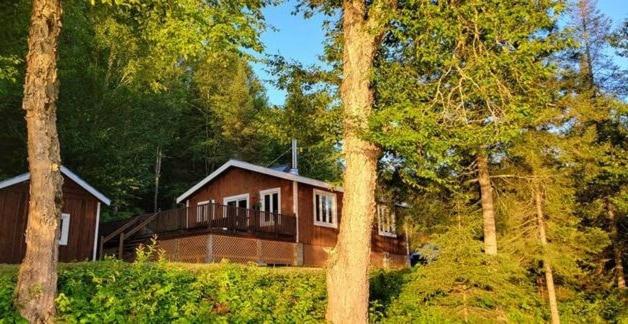 a wooden house in the middle of a forest at Le Chaleureux, Picanoc River in Kazabazua