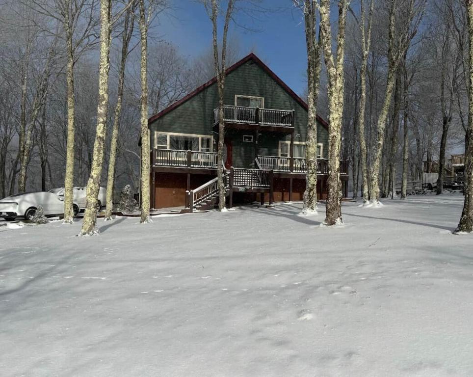 a house in the woods with snow in front of it at Effortless access to ski slopes•Endless relaxation in Beech Mountain