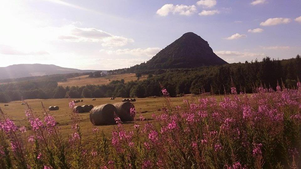 a field with hay bales in a field with a mountain at Loire-Gerbier-Mézenc in Sainte-Eulalie