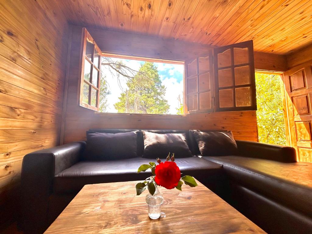 a room with a couch and a table with a flower on it at Increíble cabaña de montaña in Potrerillos