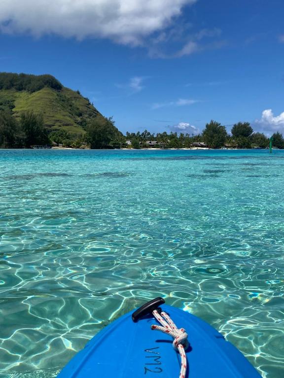Le Studio Bora-Bora - photo 7 - Moorea, Polynésie