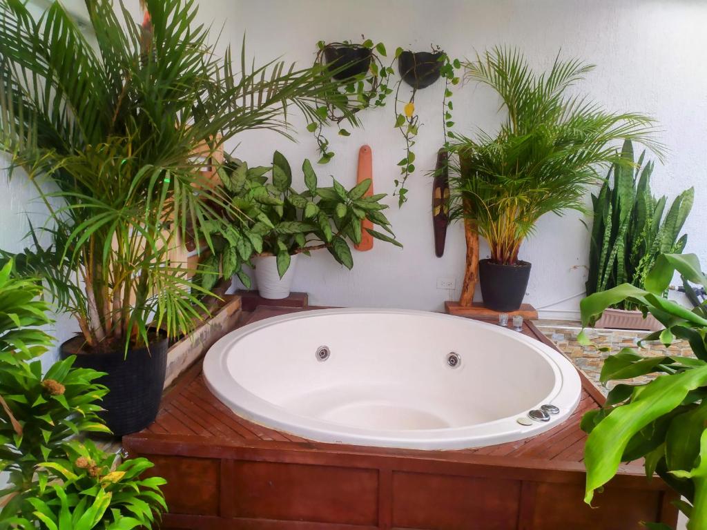 a bath tub with a bunch of potted plants at HOUSE IBIS Salento in Salento
