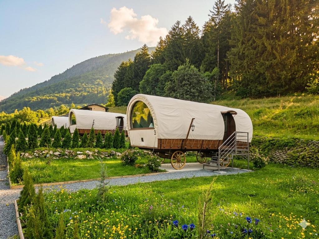 a group of rvs parked in a field at Nomad by Hora cu Brazi in Zărneşti