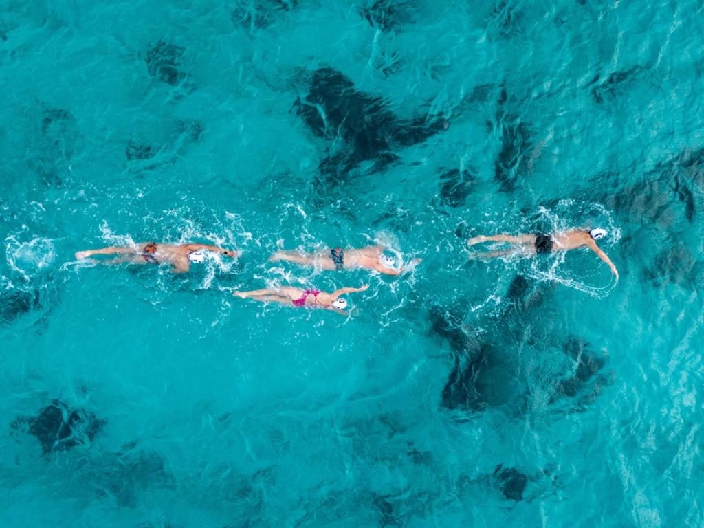 a group of people swimming in the blue water at Zel Cozumel in Cozumel