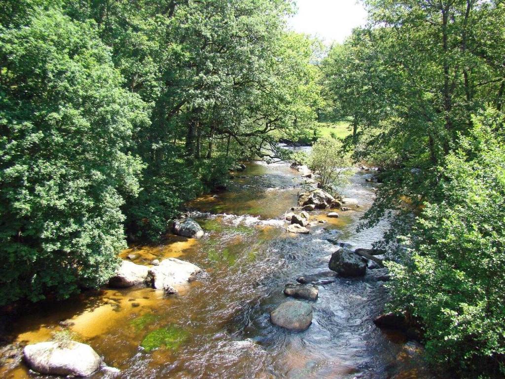 a stream of water with rocks and trees at Claveyrolas in Nedde