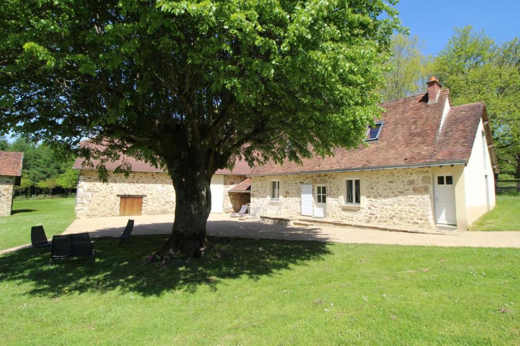 a tree in front of a building with a house at Cirèges in Le Chalard