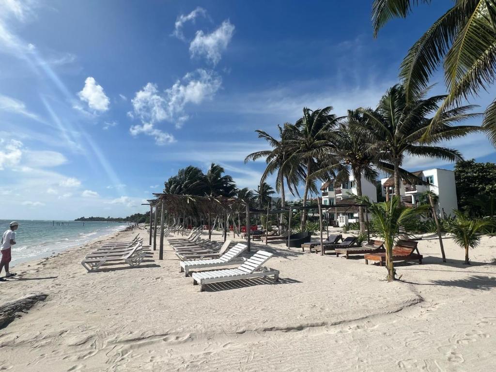 a beach with white lounge chairs and palm trees at Lodge Arenas Costa Maya in Mahahual
