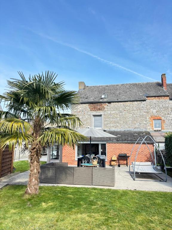 a palm tree in front of a house at Maison villageoise in Anhée