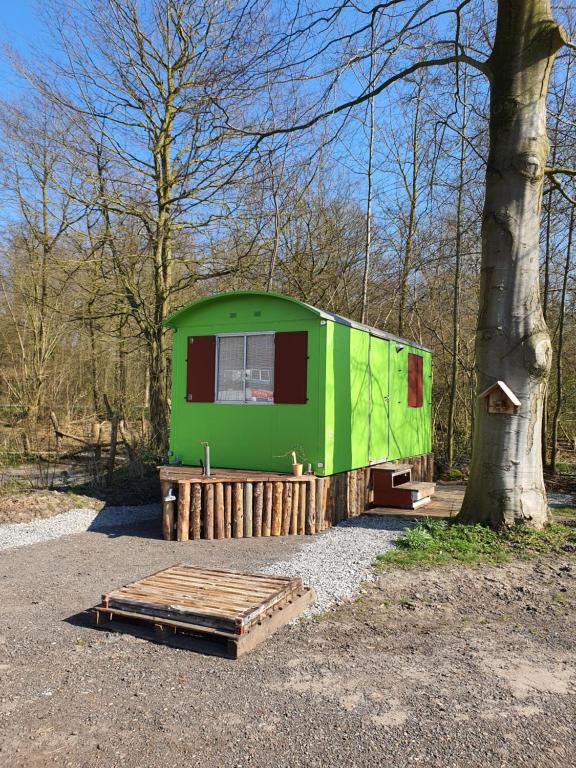 a green trailer parked next to a tree at Pipowagen Doe Maar Groen in Bant