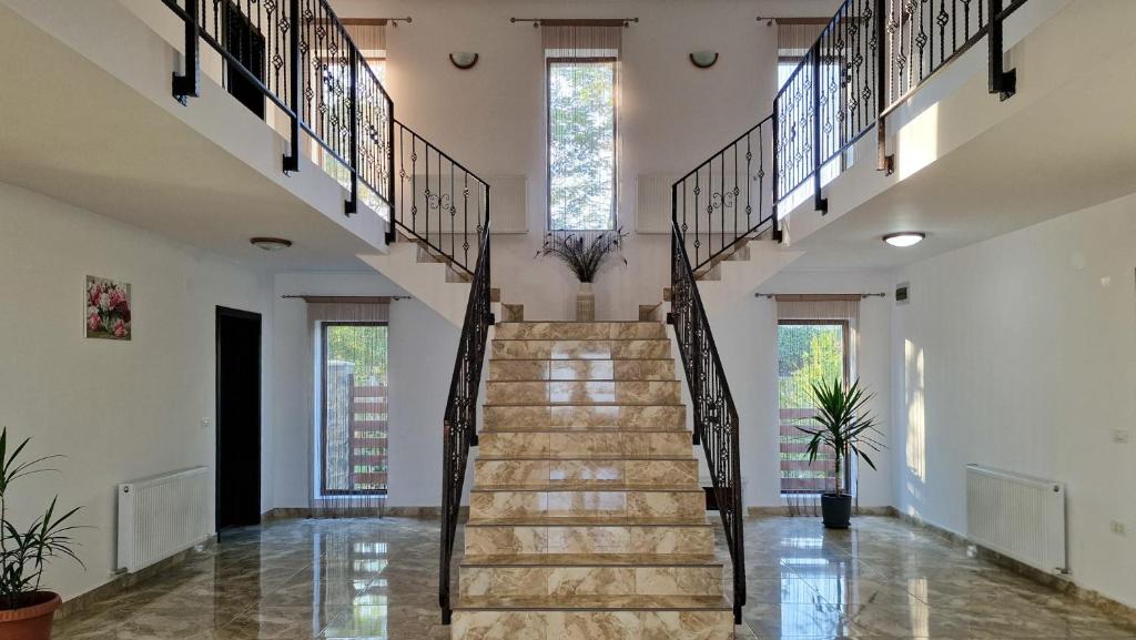 a staircase in a house with wooden steps at Agropensiunea Anovia in Aninşul din Deal