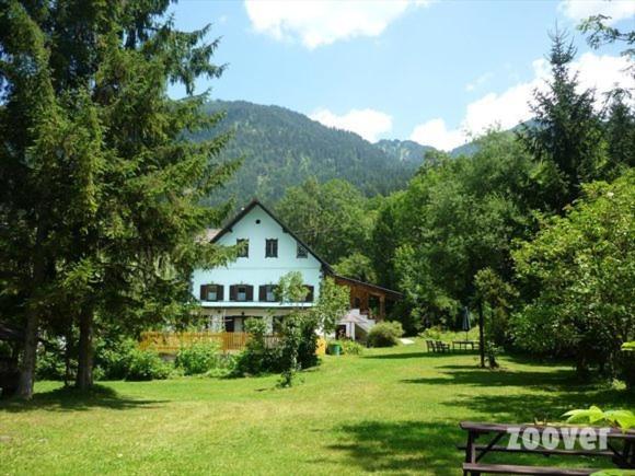 Príroda v okolí apartmánu