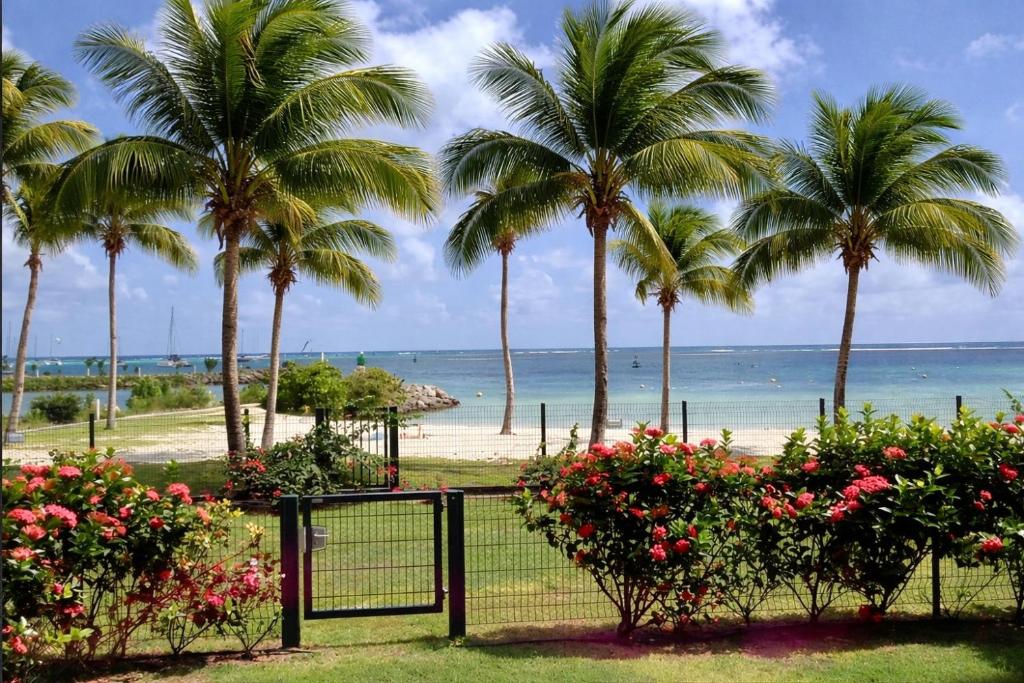 a view of a beach with palm trees and flowers at Lauris - Résidence Savannah, 1 ou 2 Chambres avec cuve in Saint-François