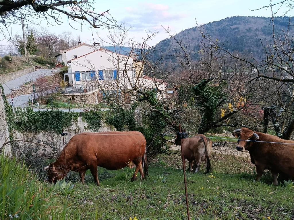 Gîte la côte des bleuets de Retourtour - Casa Con 2 Camere Da Letto