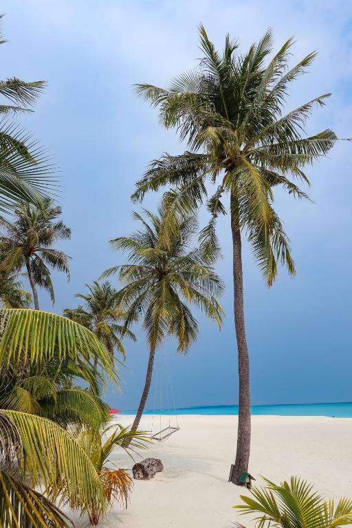 Hondaafushi Island Resort - View 34