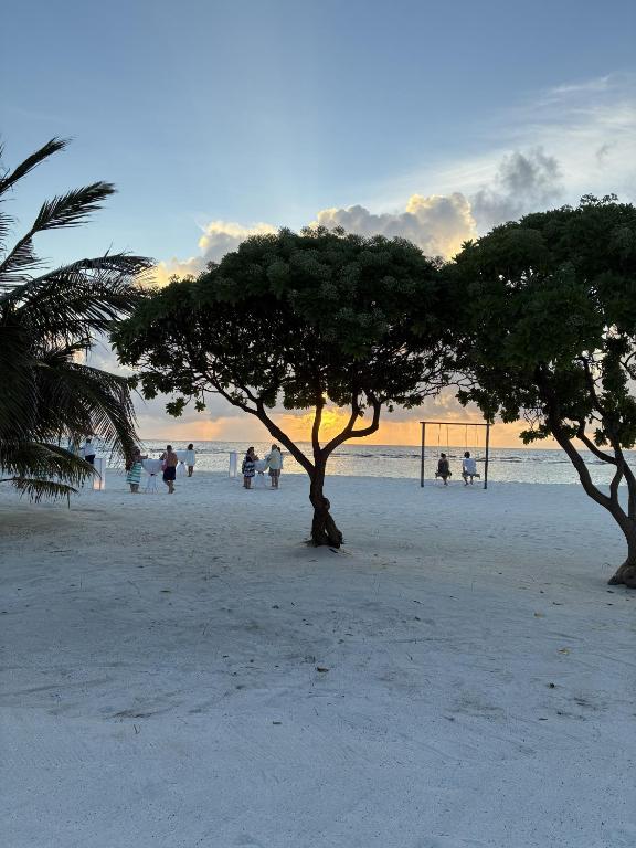 Hondaafushi Island Resort - View 36