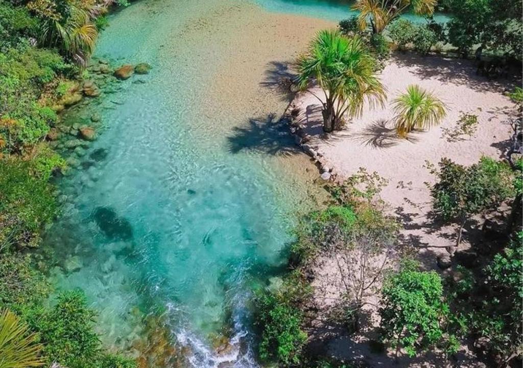 an aerial view of a body of water with palm trees at Casa em Aurora do Tocantins in Manhã