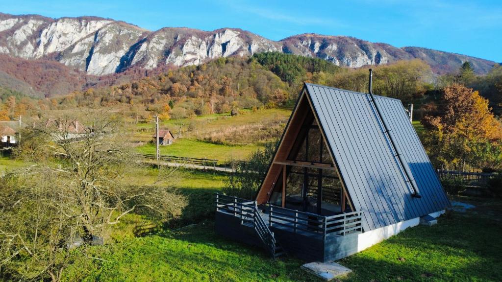a small house in a field with mountains in the background at Sălciuella Dream Cabin in Sălciua de Jos