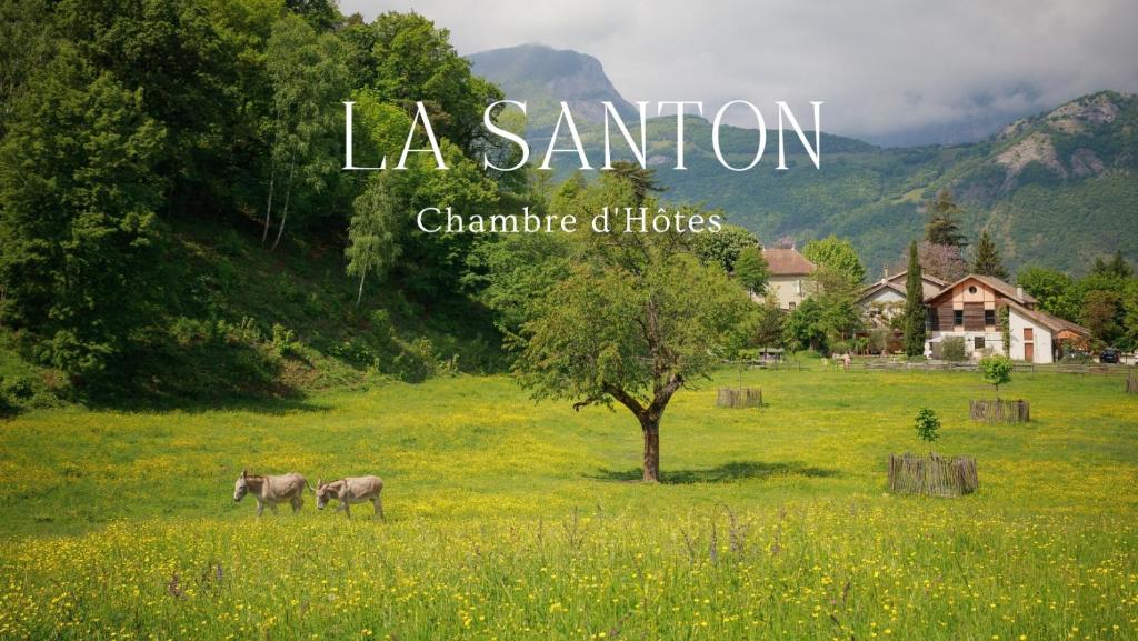 La Santon Chambres d'hôtes - Carpa