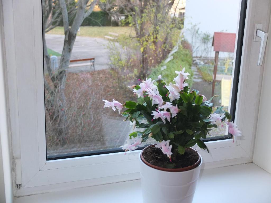 Vonkajšia záhrada v ubytovaní Leopoldauer Apartment