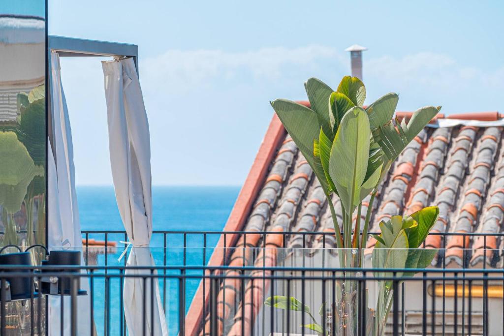 a plant on a balcony with a view of a building at Old Town T1 Apartment in Funchal
