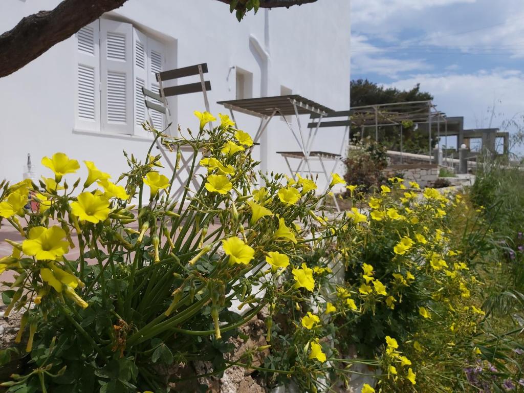 a garden with yellow flowers in front of a white building at Dandelion Paros Apartments IV in Kóstos