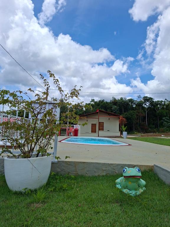 a frog sitting in the grass next to a pool at Cachoeira e Pousada dos Pássaros in Presidente Figueiredo