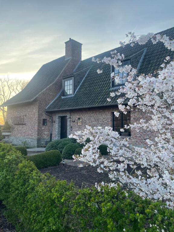 a house with white flowers in front of it at Vakantiehuis Vloethem in Zedelgem