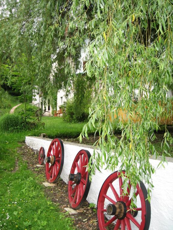 Vonkajšia záhrada v ubytovaní Das kleine Paradies