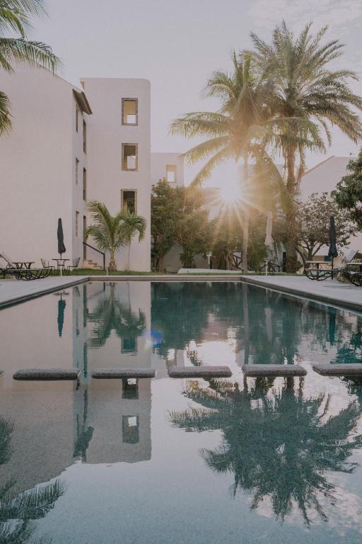 a swimming pool in front of a building with palm trees at SM Apartments in San José del Cabo