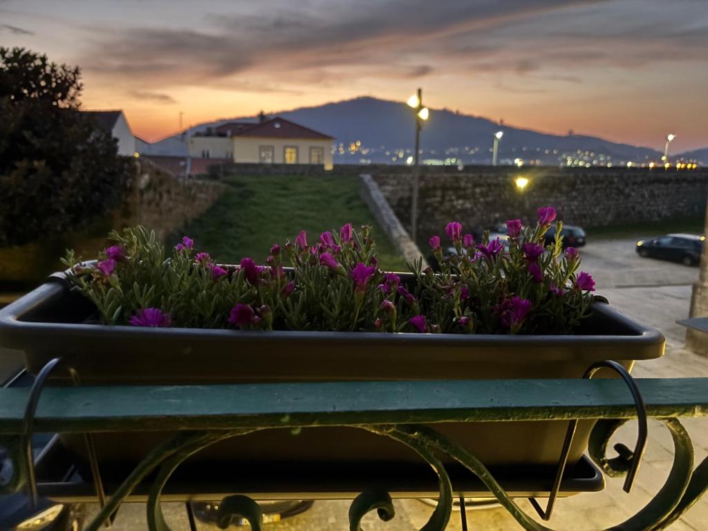 a planter with purple flowers on top of a table at Villa Matriz Suite Apartment in Caminha