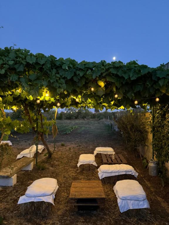 Residence LA RONDINE
