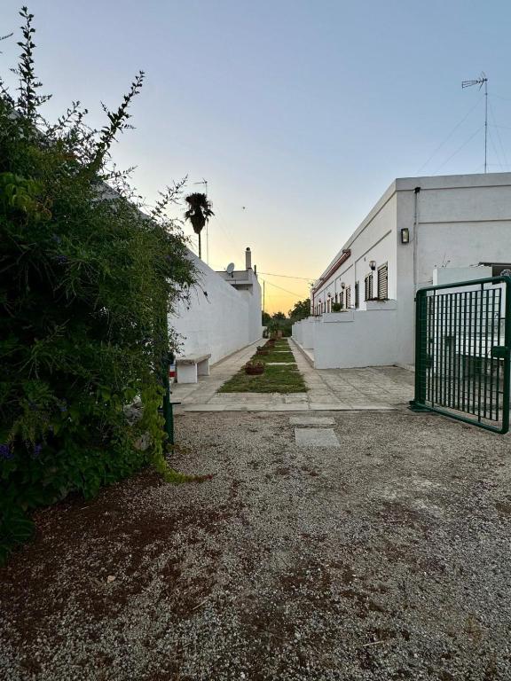 Il vialetto d'ingresso con cancello verde e prato a fasce al tramonto