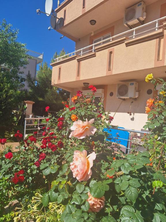 a bush of flowers in front of a building at a cozy corner in Bar