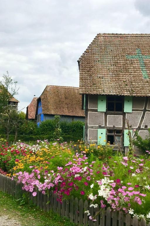 Lisela Cosy Meublé 3 étoiles Colmar à 250m du centre touristique, à côté de la route des vins – photo 17