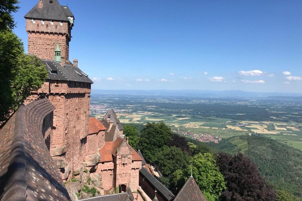 Lisela Cosy Meublé 3 étoiles Colmar à 250m du centre touristique, à côté de la route des vins – photo 23
