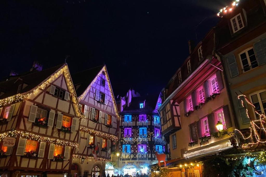 Lisela Cosy Meublé 3 étoiles Colmar à 250m du centre touristique, à côté de la route des vins – photo 22
