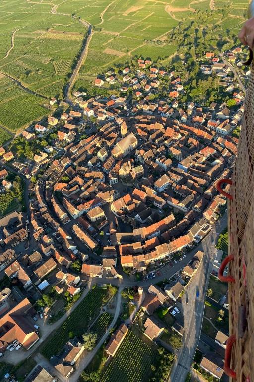 Lisela Cosy Meublé 3 étoiles Colmar à 250m du centre touristique, à côté de la route des vins – photo 21