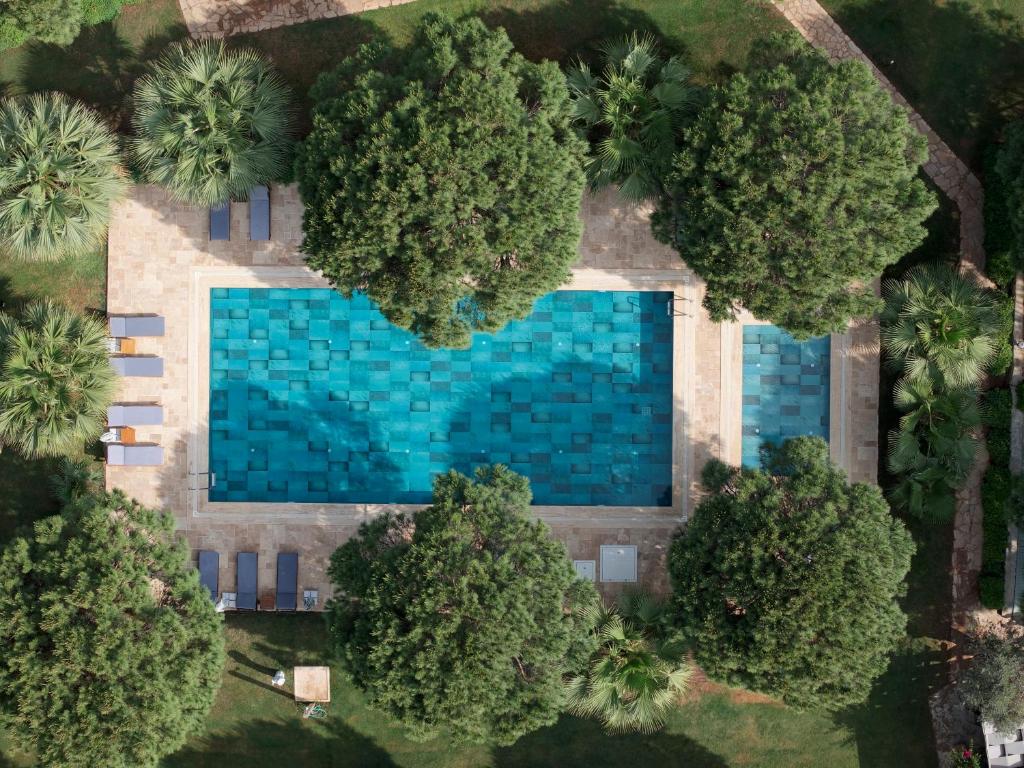 an overhead view of a swimming pool surrounded by trees at Casa Elia Datça in Emecik