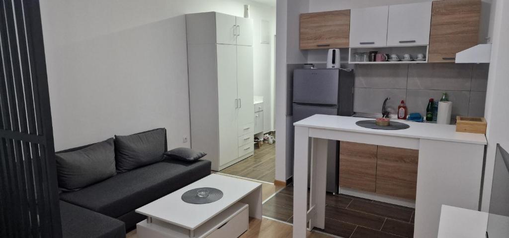 a small apartment with a couch and a kitchen at Apartman Bety in Brčko