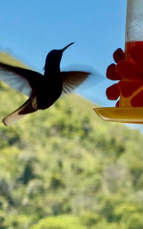 Itaipava Cama e Café