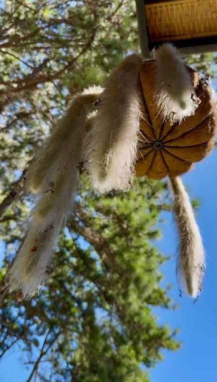 Itaipava Cama e Café