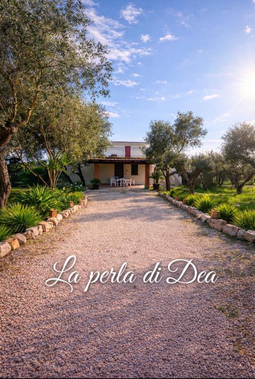 a driveway leading to a building with trees in the background at La Perla di Dea in Lido Di Fondi
