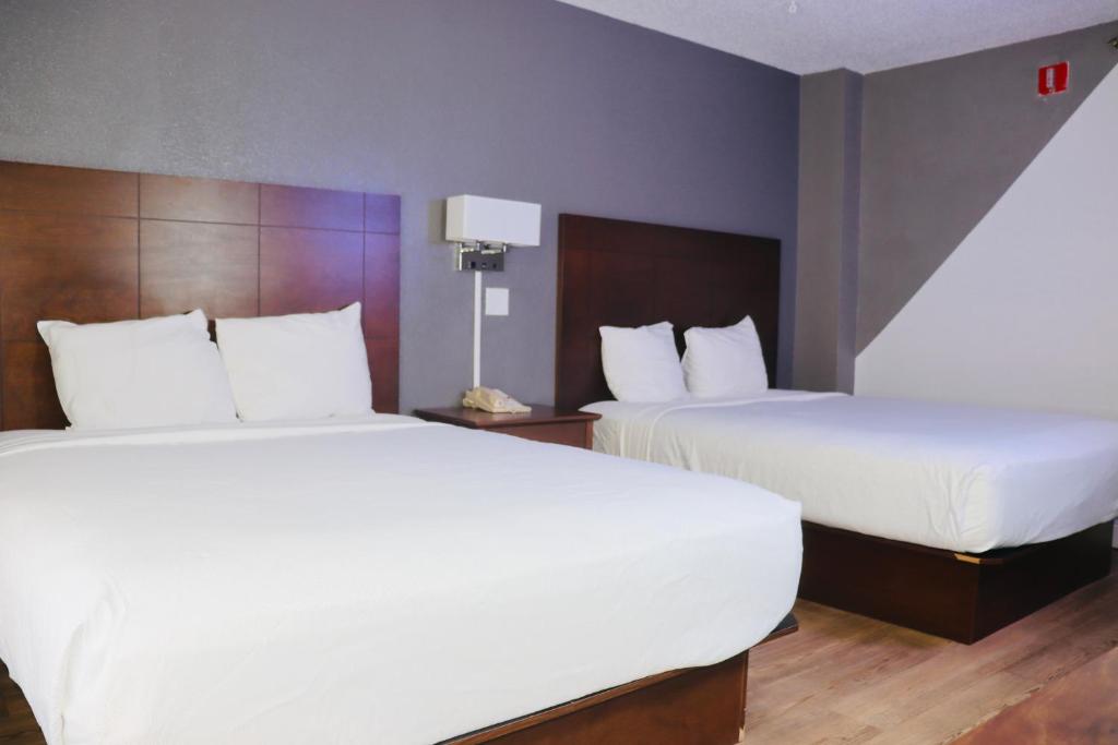 Plaza Hotel Fort Lauderdale - 