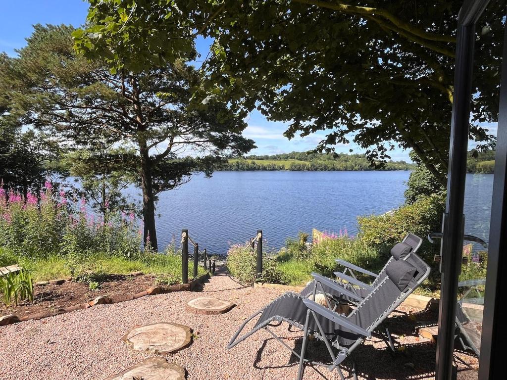 a bench sitting under a tree next to a lake at Little Gem at Lough Sillan House - Adults only in Shercock