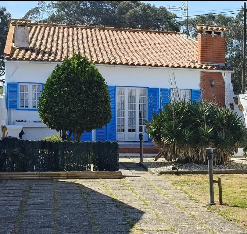 a blue and white house with a tree in front of it at Casa de Praia in Vila do Conde